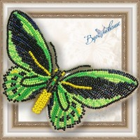 Набор для вышивки бисером бабочки «Птицекрыл Приам»